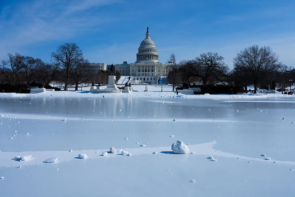 The US Capitol behind the National Mall in Washington, DC, on Jan&nbsp; 31.&nbsp;