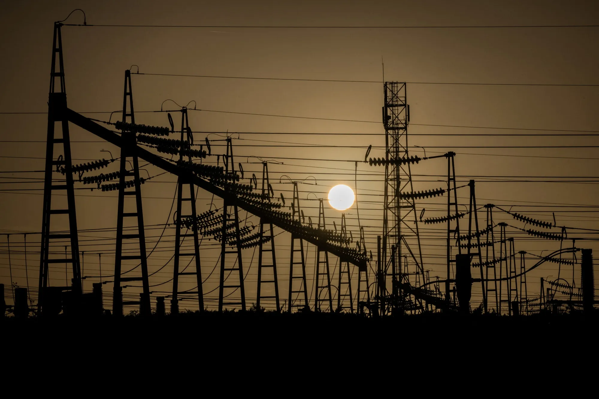 Together in electric nightmares.