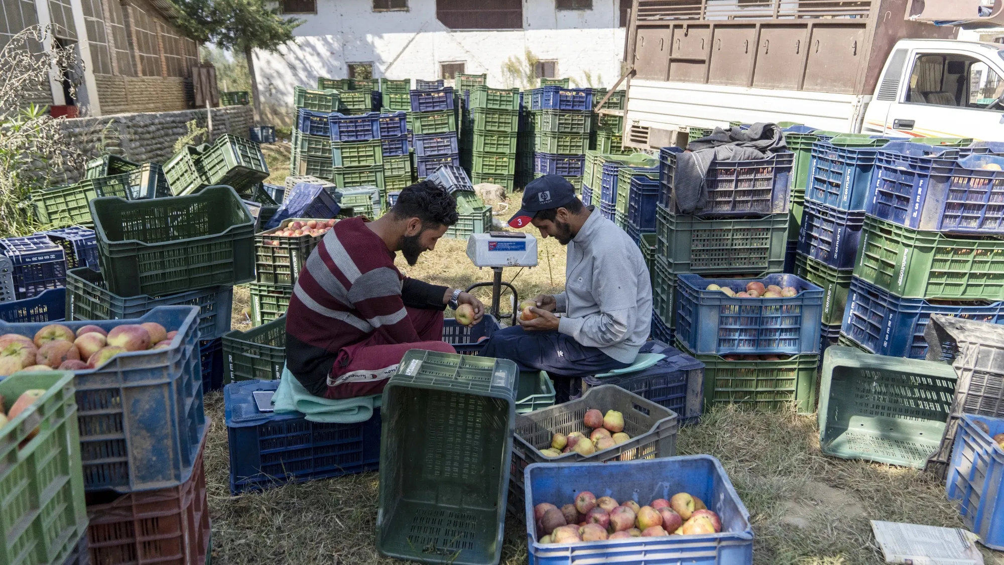 Workers check apples at a warehouse in&nbsp;Kashmir, India.