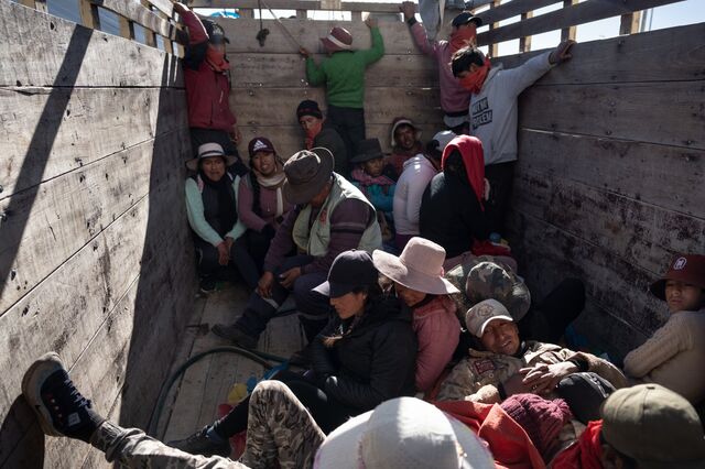 Voluntarios y trabajadores son llevados a una mayor altura, donde comenzarán a arrear a los animales.