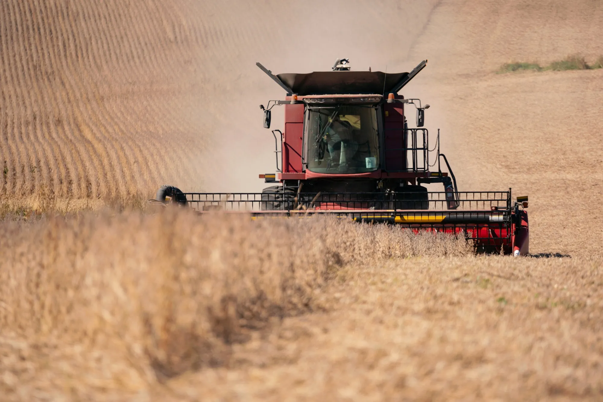 A combine harvester during a soybean harvest at a farm in Rochester, Minnesota on Oct. 11, 2025.&nbsp;