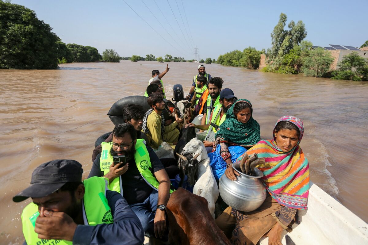Pakistan’s Secret Weapon Can Help It Rebuild After Floods