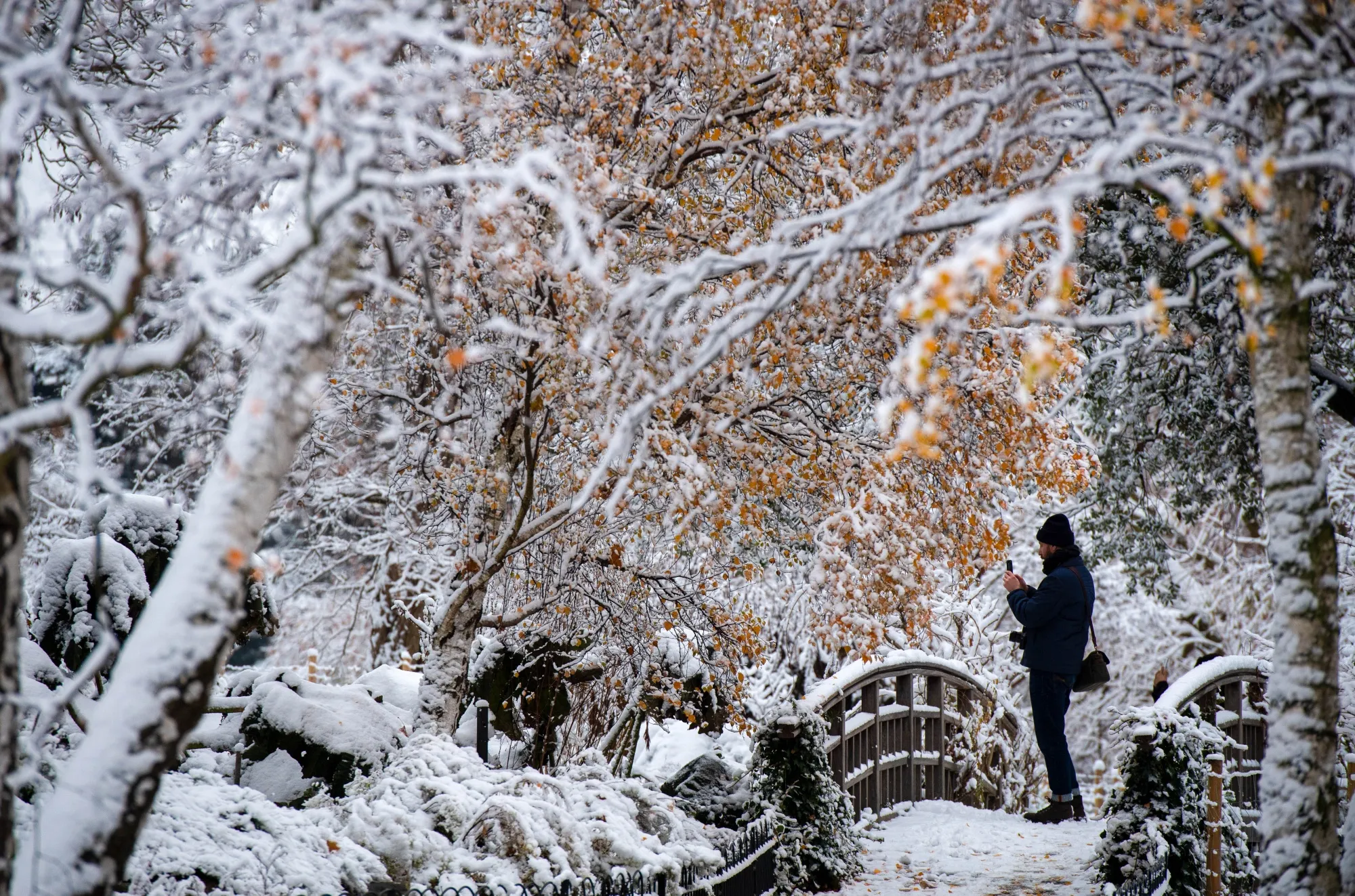 Snow blankets&nbsp;Regent's Park in London this week.