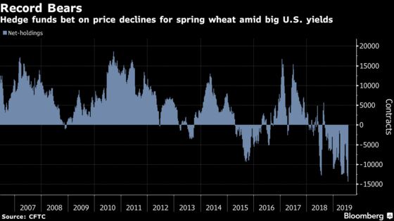 Dark Soils Burst With Spring Wheat as Funds Make Record Bear Bet
