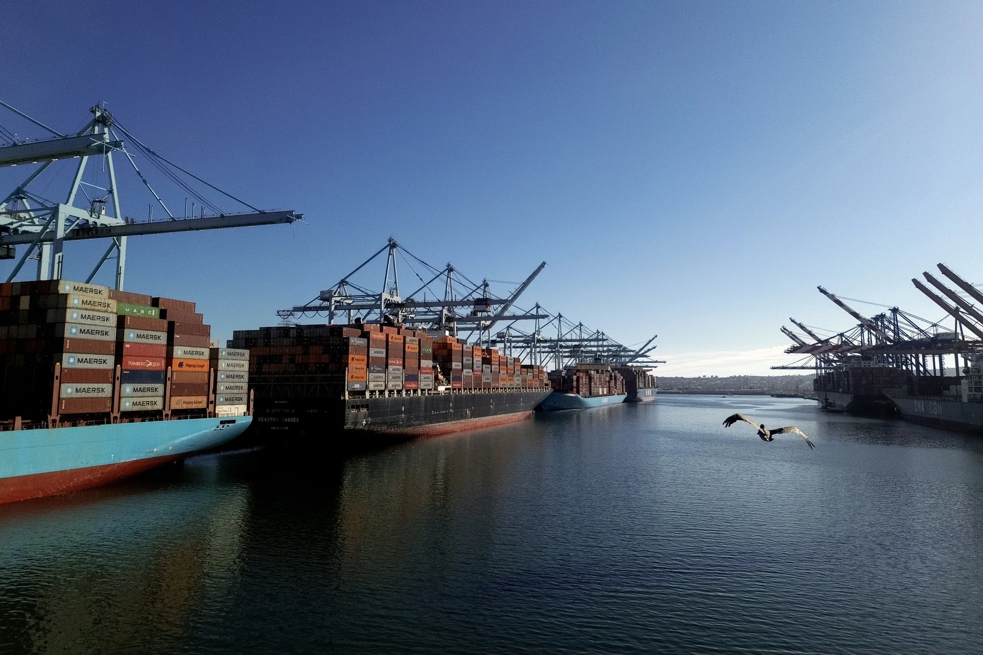 Container ships at&nbsp;the Port of Los Angeles.