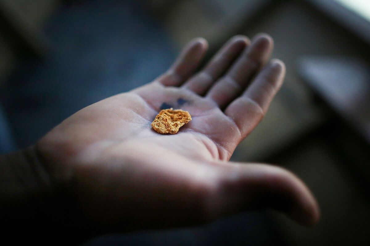 🟪"Scoperti 13 corpi di minatori in Perù: ondata di violenza per il controllo dell'oro"