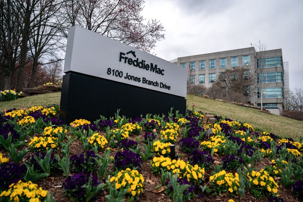 Fannie, Freddie Win for VantageScore Causes Pain for FICO Shares
