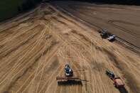 Grain Harvest Continues In Ukraine After Export Deal