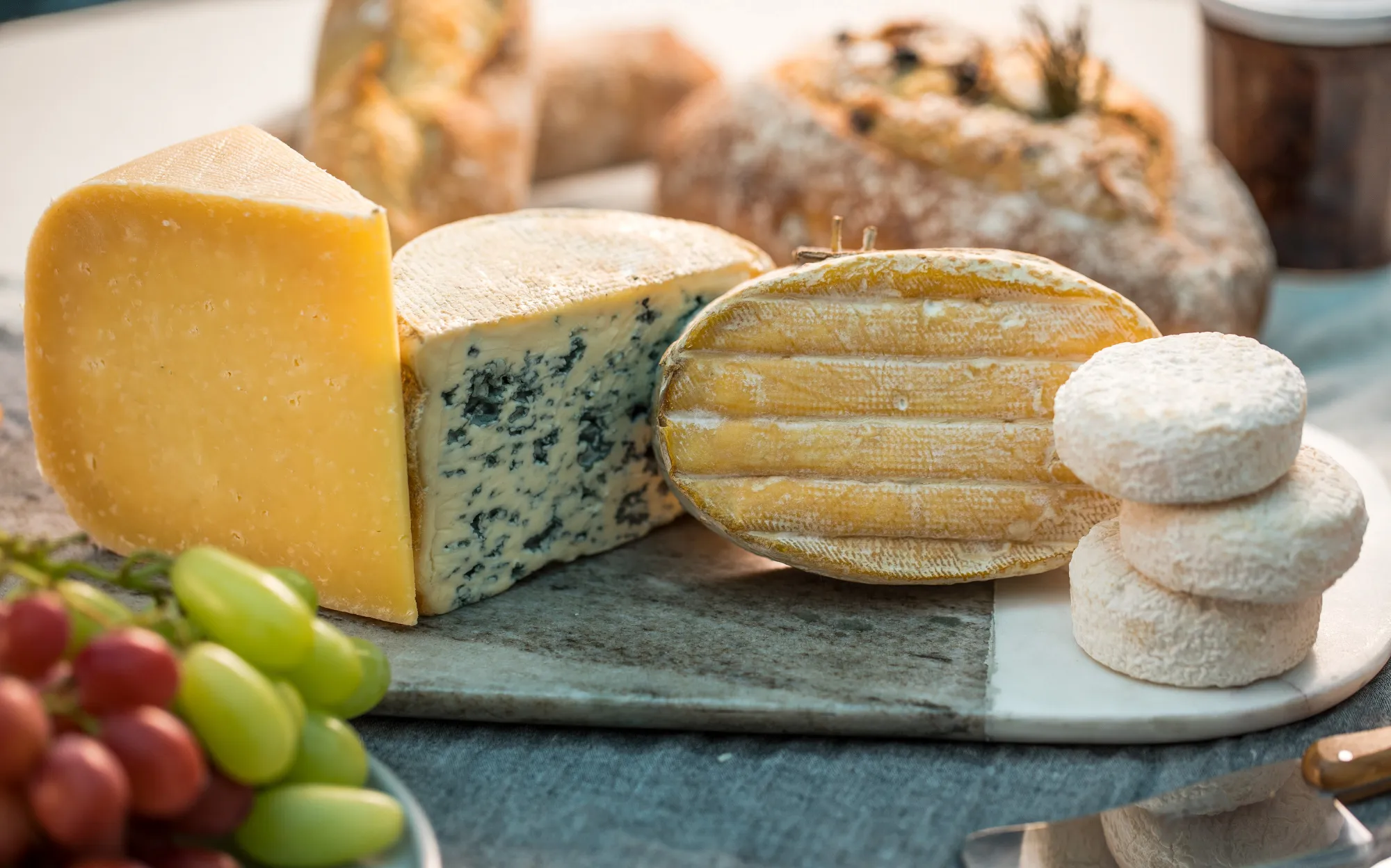 From left to right, Old Winchester, Fourme d'Ambert, Claousou and Picodon.