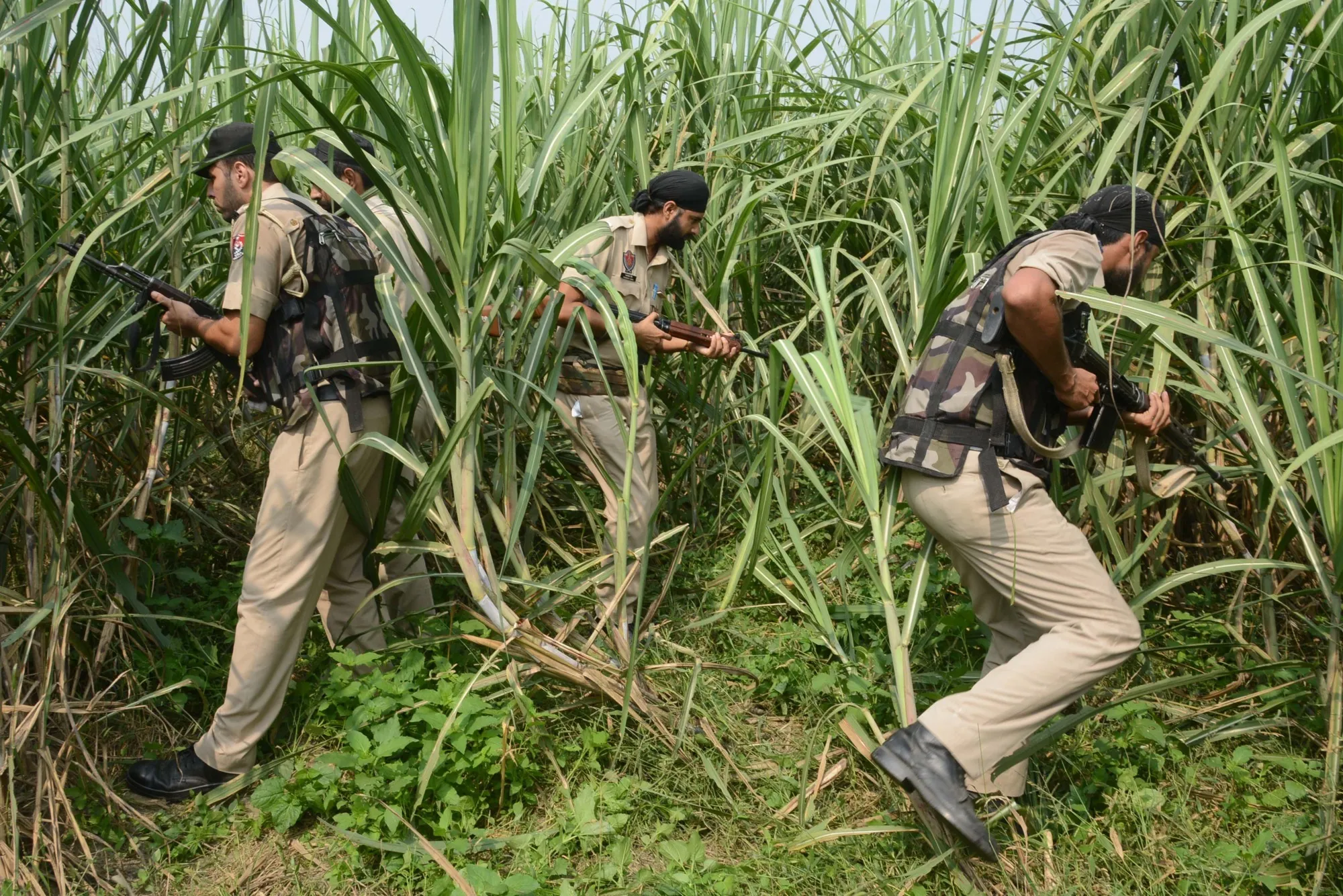 Indian Punjab policemen on patrol at a sugar cane field near the Indian-Pakistan border on Oct. 3.
