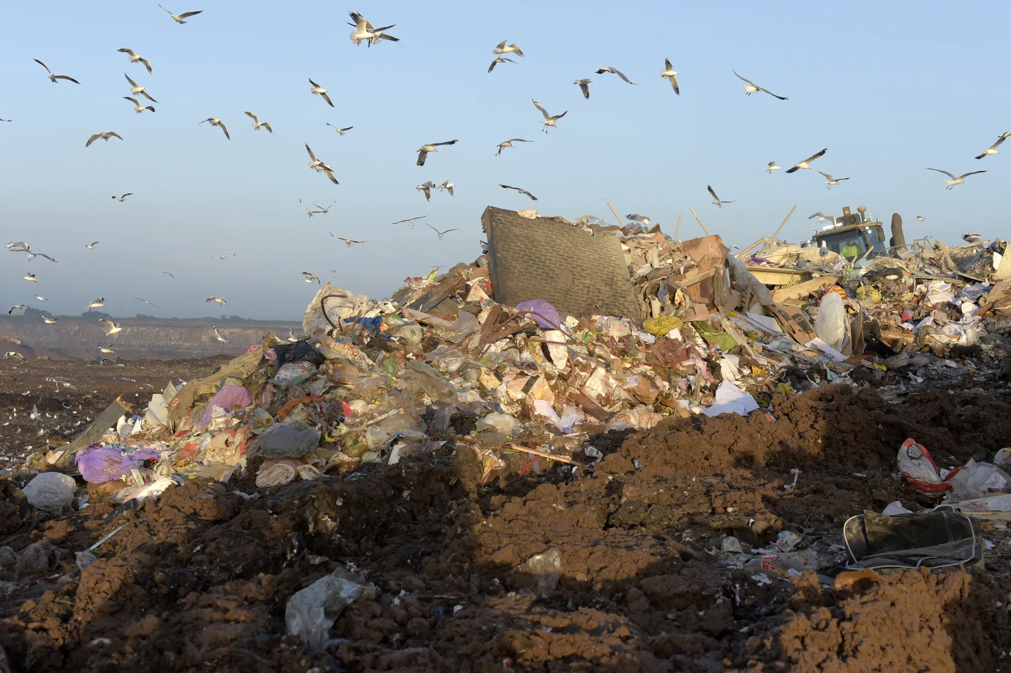 Birds fly over a landfill.