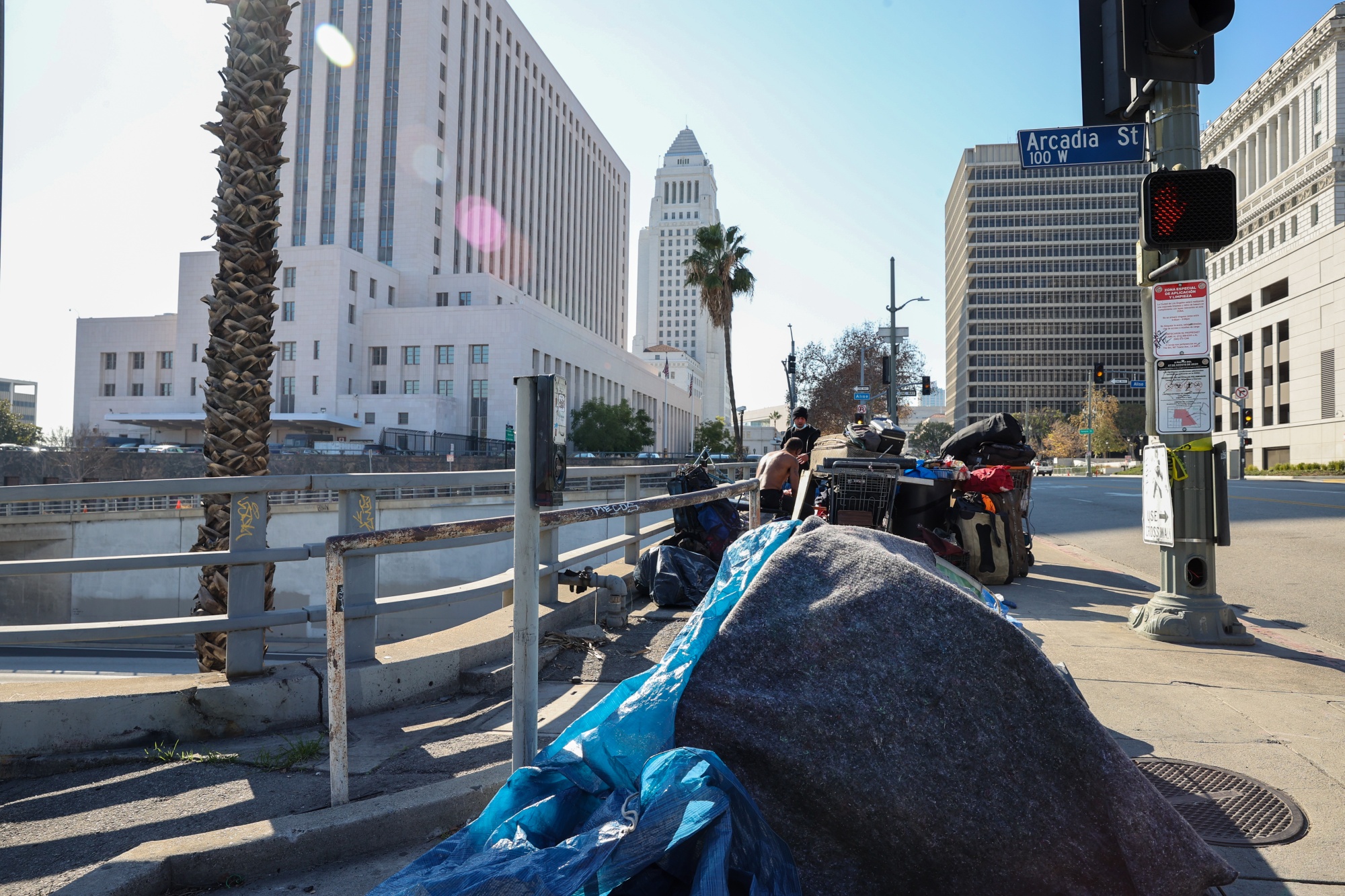 Tents line sidewalk&nbsp;near the City Hall in Los Angeles in December.&nbsp;With about 42,000 residents who are experiencing homelessness, the city has long struggled with the issue.&nbsp;
