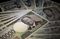 Yen Banknotes as Japanese Currency Slumps Further