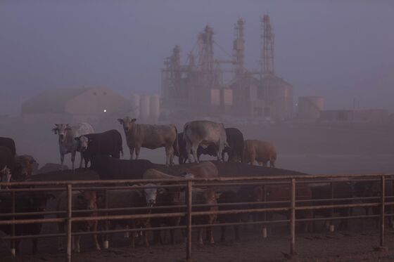 Is Beef the New Coal? Climate-Friendly Eating Is on the Rise