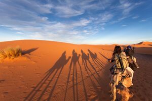 Group of tourists going for a caml trip in the middle of deserts with old nomads