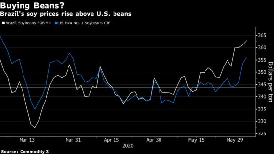 China Importers Likely to Keep Buying U.S. Soybeans, Analyst Says