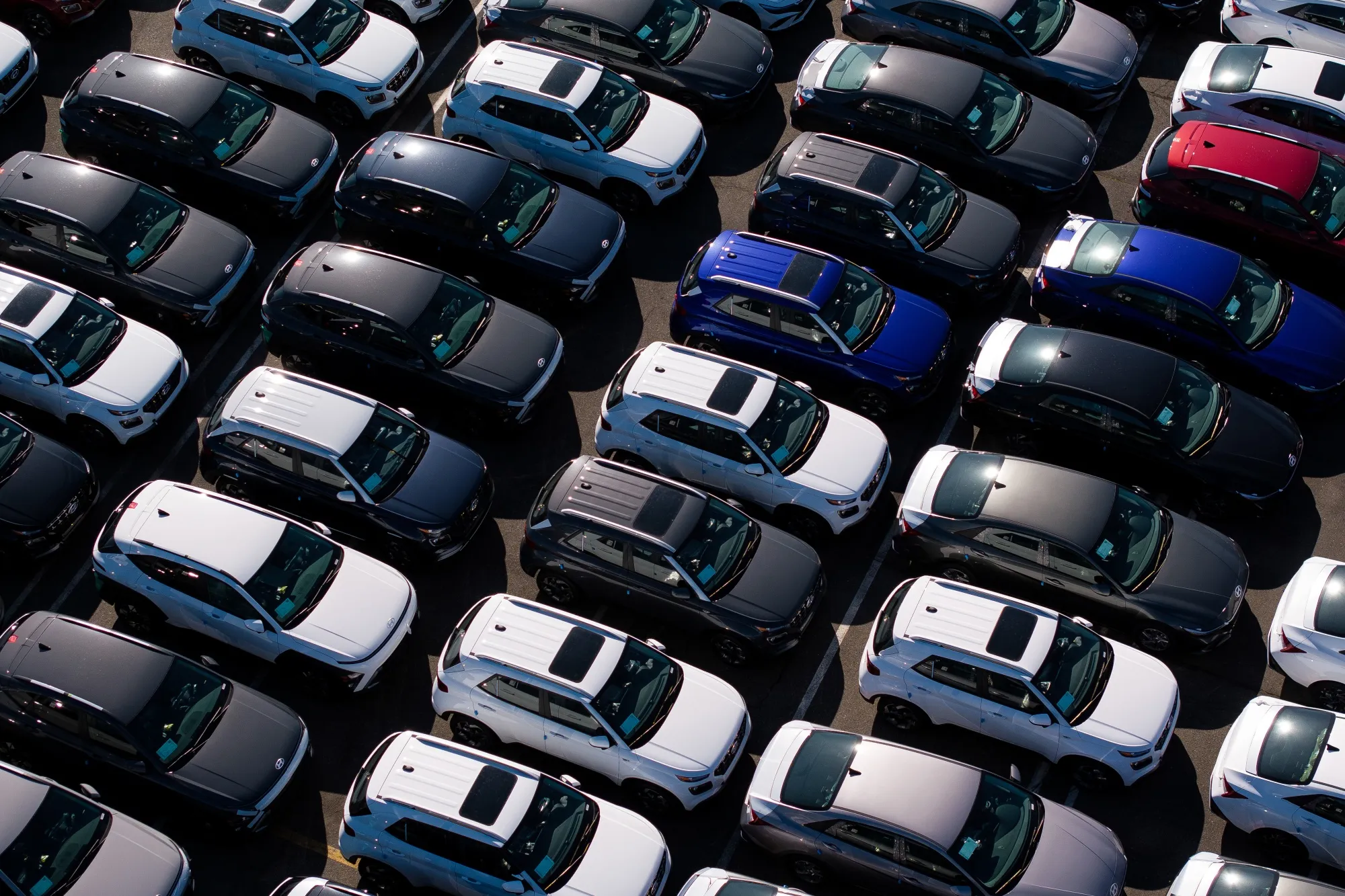 New vehicles at the Port of Seattle. 