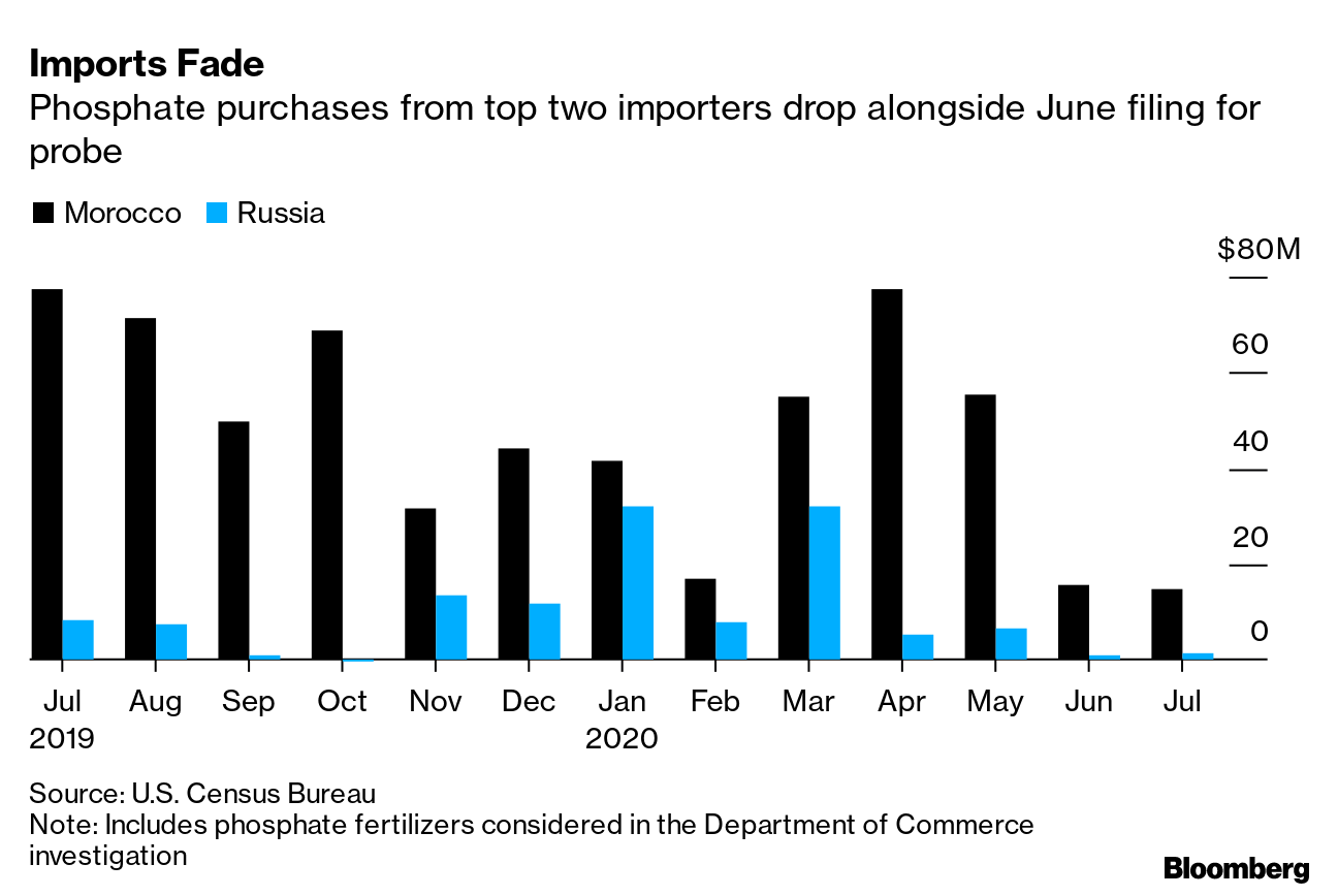 Imports Fade