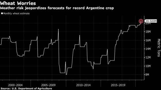 Drought and Frosts Are Threatening Argentina’s Record Wheat Crop