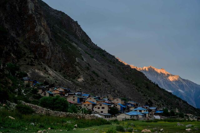 The Nepali village of Purano Mugu, where almost 100 families depend on the mushrooms to make a living. Purano Mugu is a day’s walk from the Chinese border, an opportunity for China residents to circumvent stricter controls of the commodity.