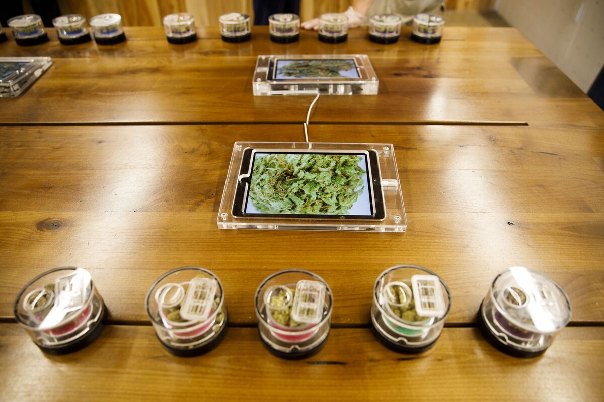 Weed Dispensary Comes to NYC's Fifth Avenue, Just in Time for 4/20 ...