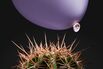 The Social Media Bubble Is Quietly Deflating