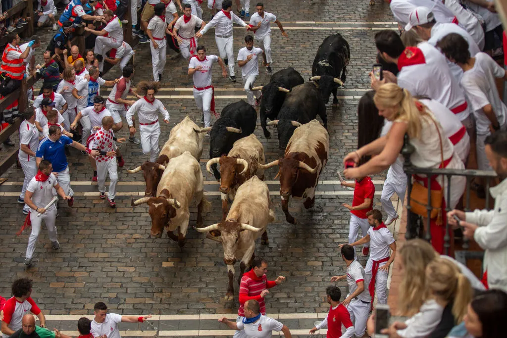 Bull run.