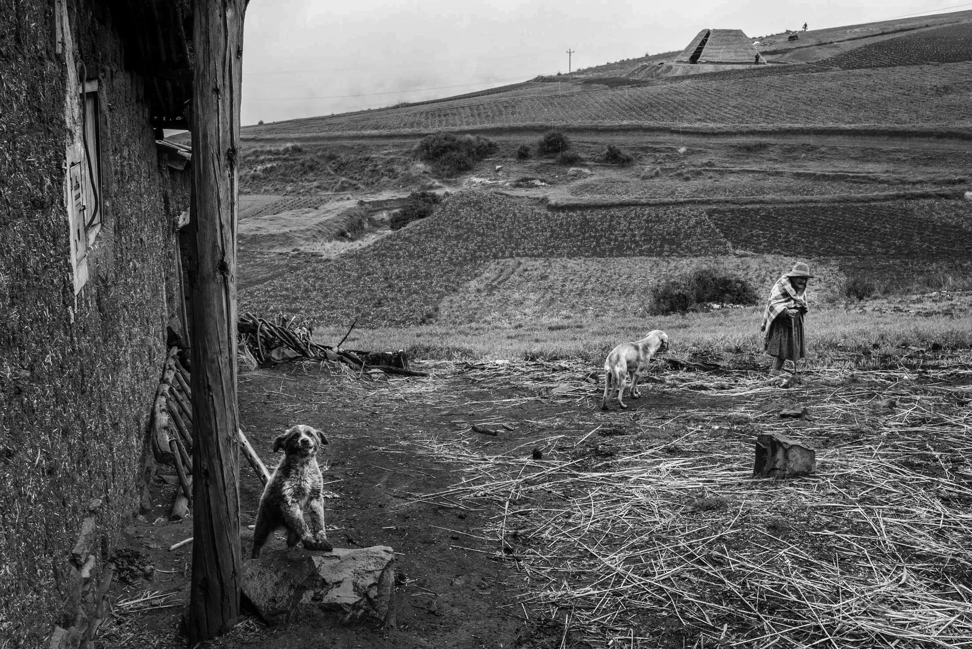 A black and white image of a field in the outskirts of Cusco city.