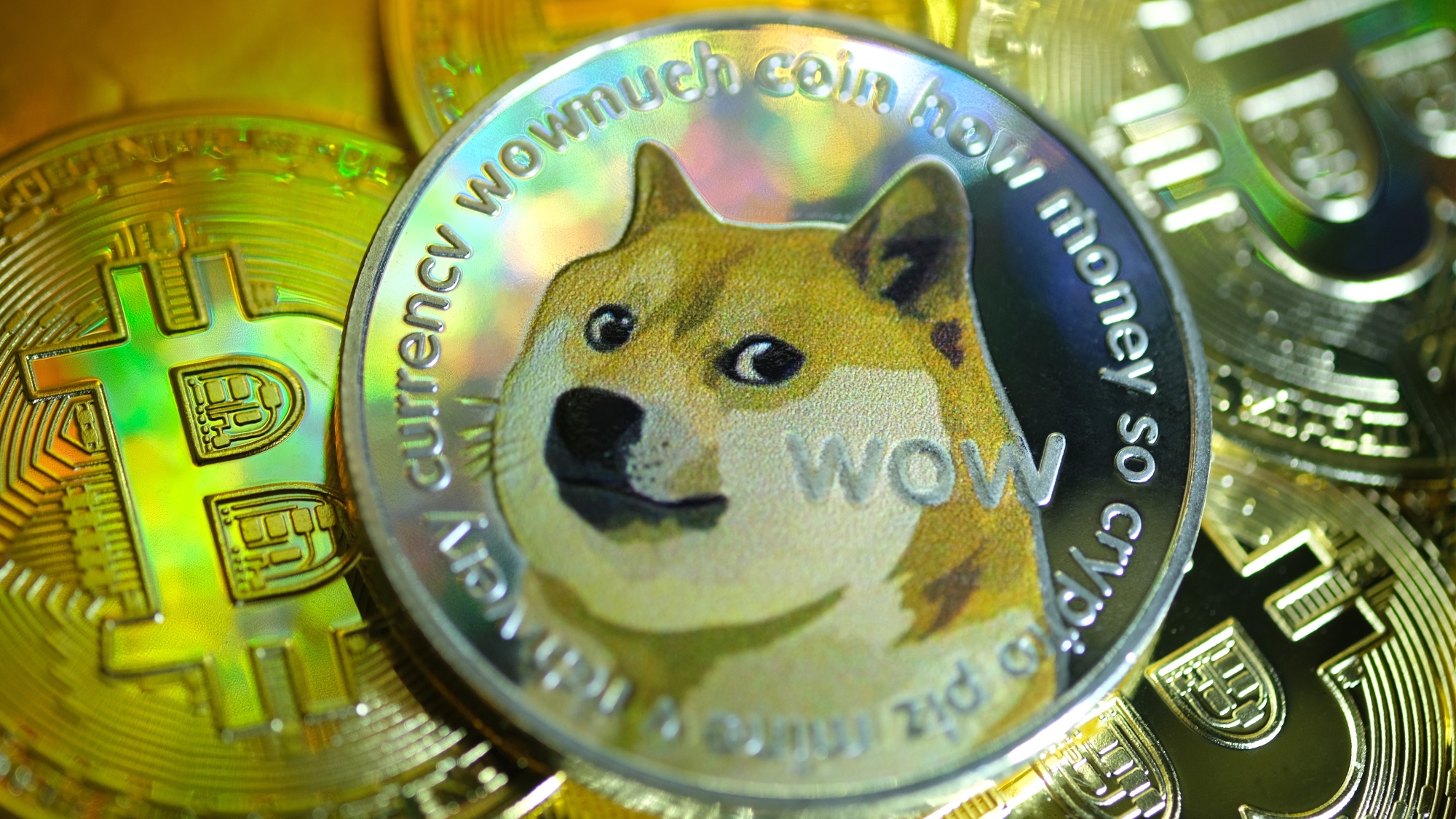 Watch Why Elon Musk Likes Dogecoin - Bloomberg