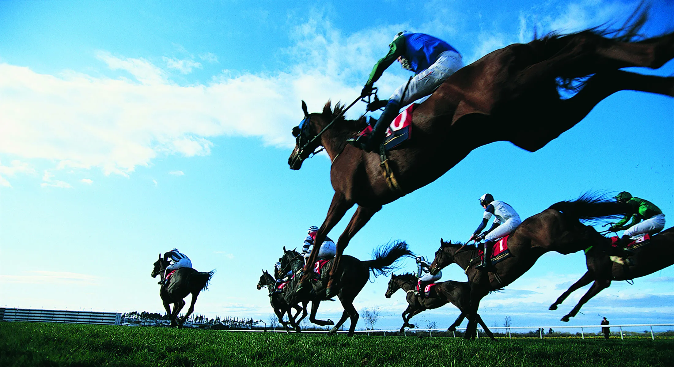 1467181185_HORSE_RACE