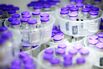 FRANCE-CORSICA-HEALTH-VIRUS-VACCINE-YOUTH
