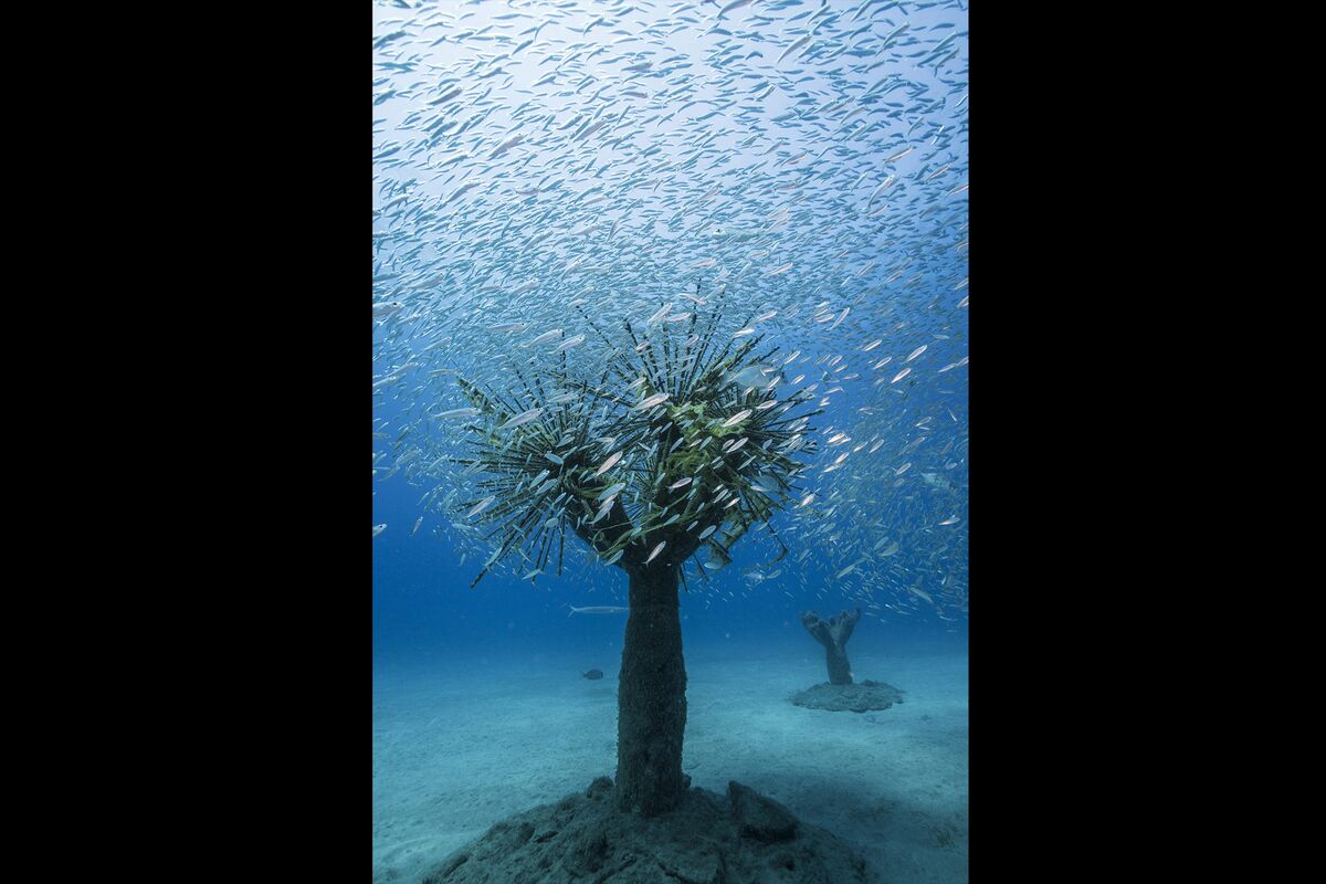 En images : notre sélection de cabas de plage - Challenges