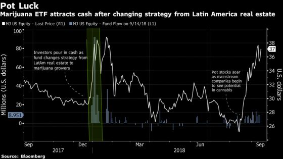 Marijuana ETF Appoints New Custodian After Tumultuous 12 Months