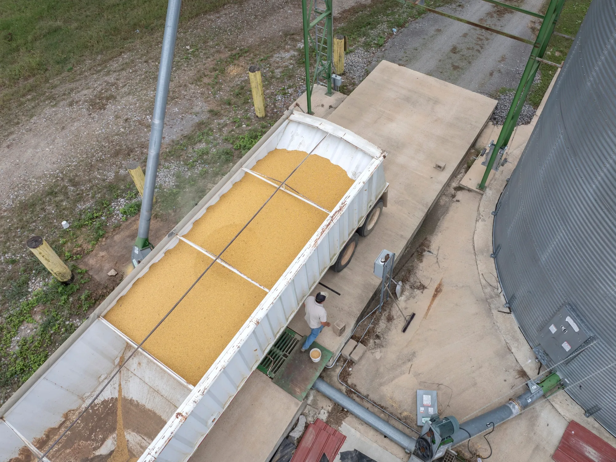 Harvested soybeans are moved from a grain truck to a storage silo on a farm near Gregory, Arkansas.