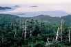 Japan's Hottest Commodity: Water