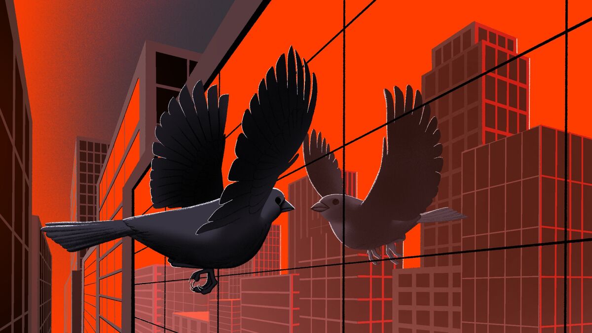 How to Design Buildings to Prevent Bird Crashes - Bloomberg