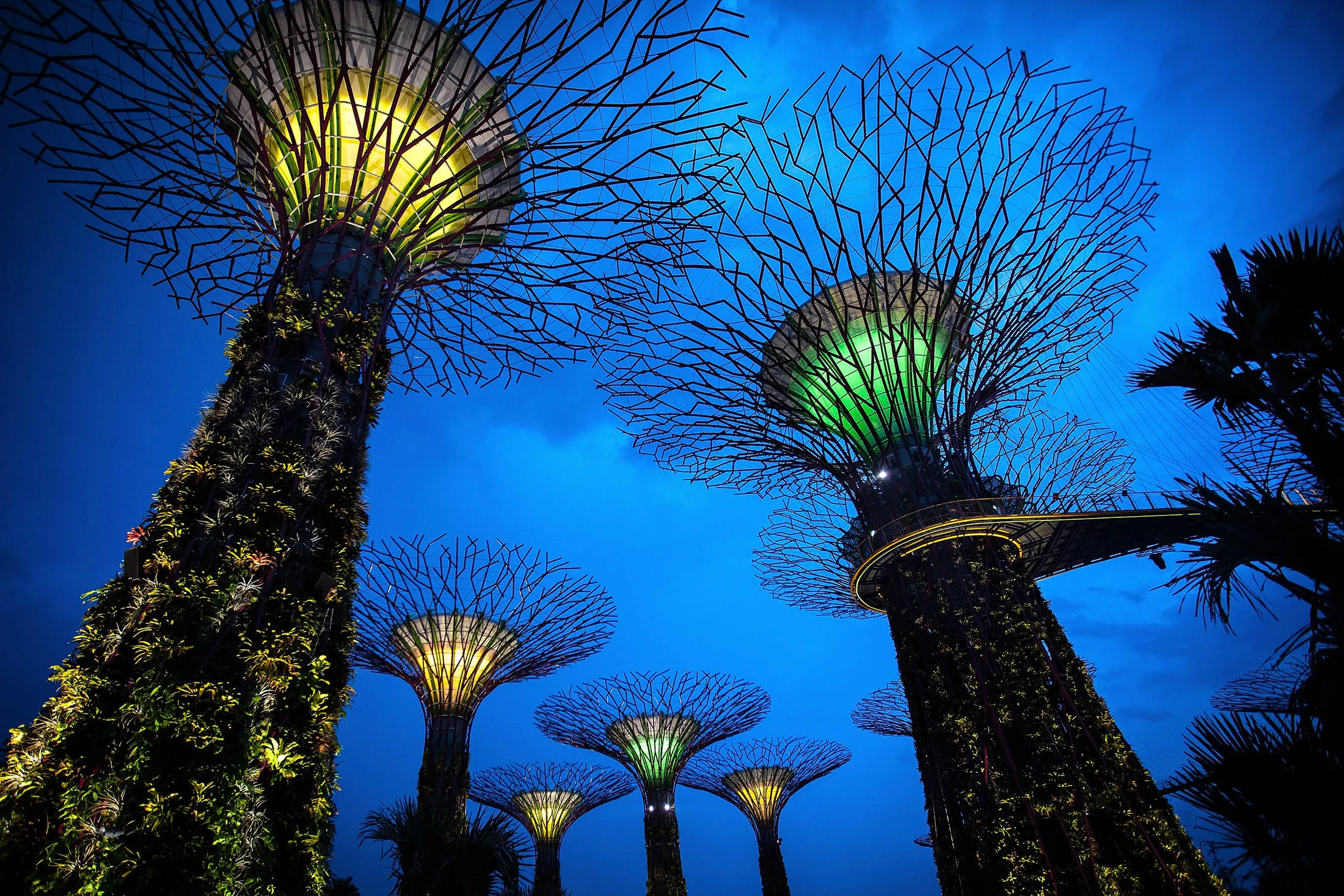 1476404262_singapore