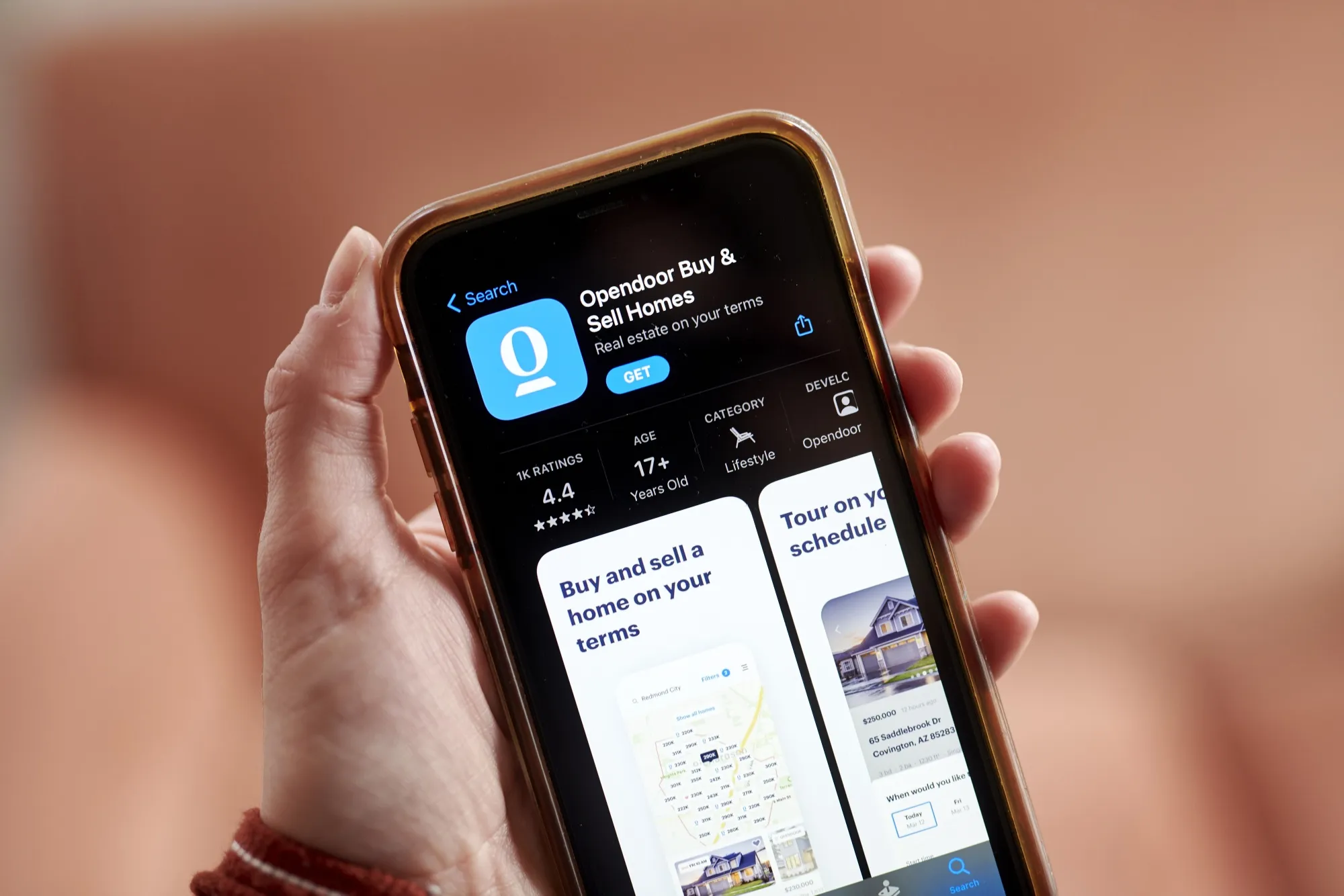The Opendoor application.