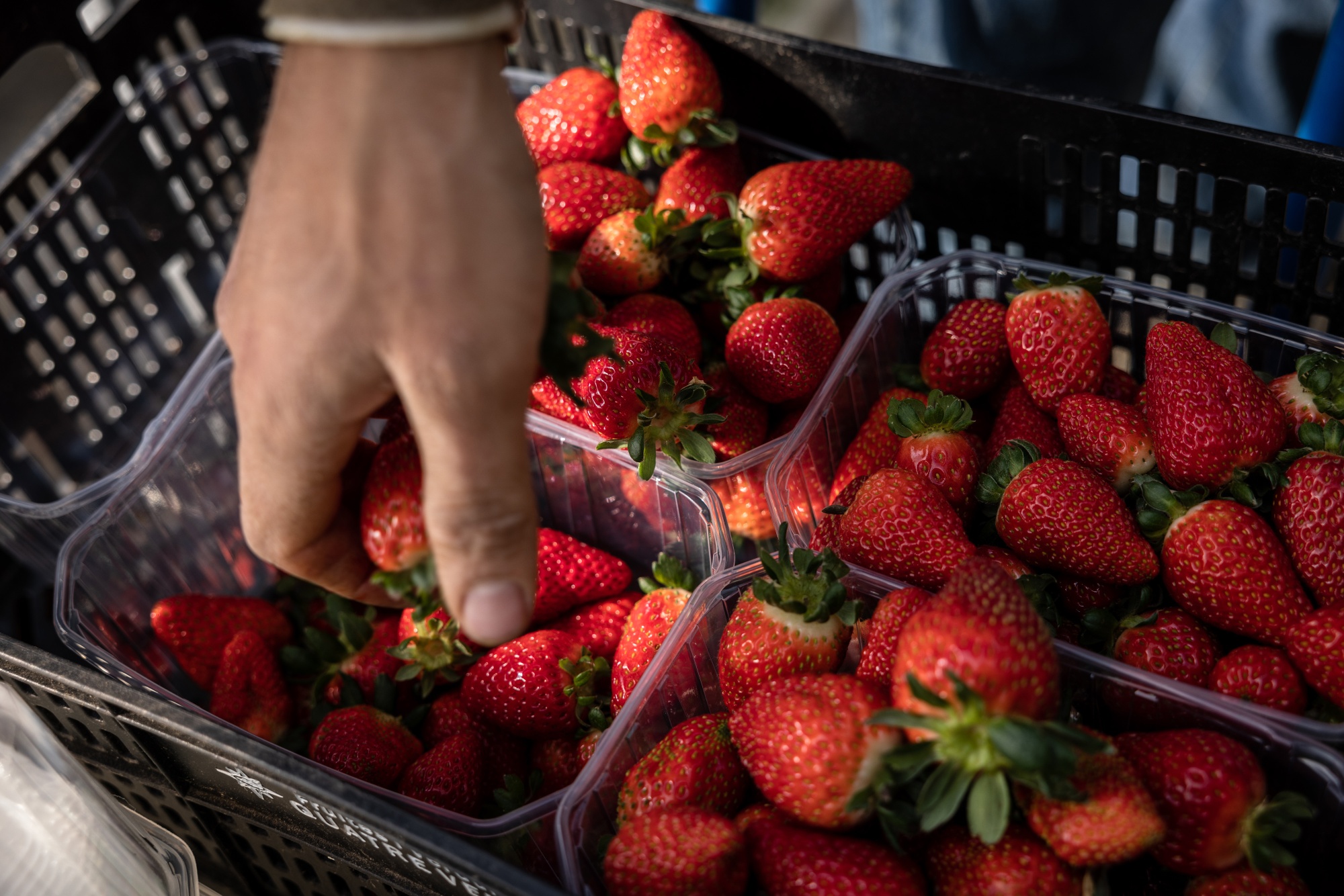 UK Food Price Inflation Supermarket Bashing Won't Make Groceries