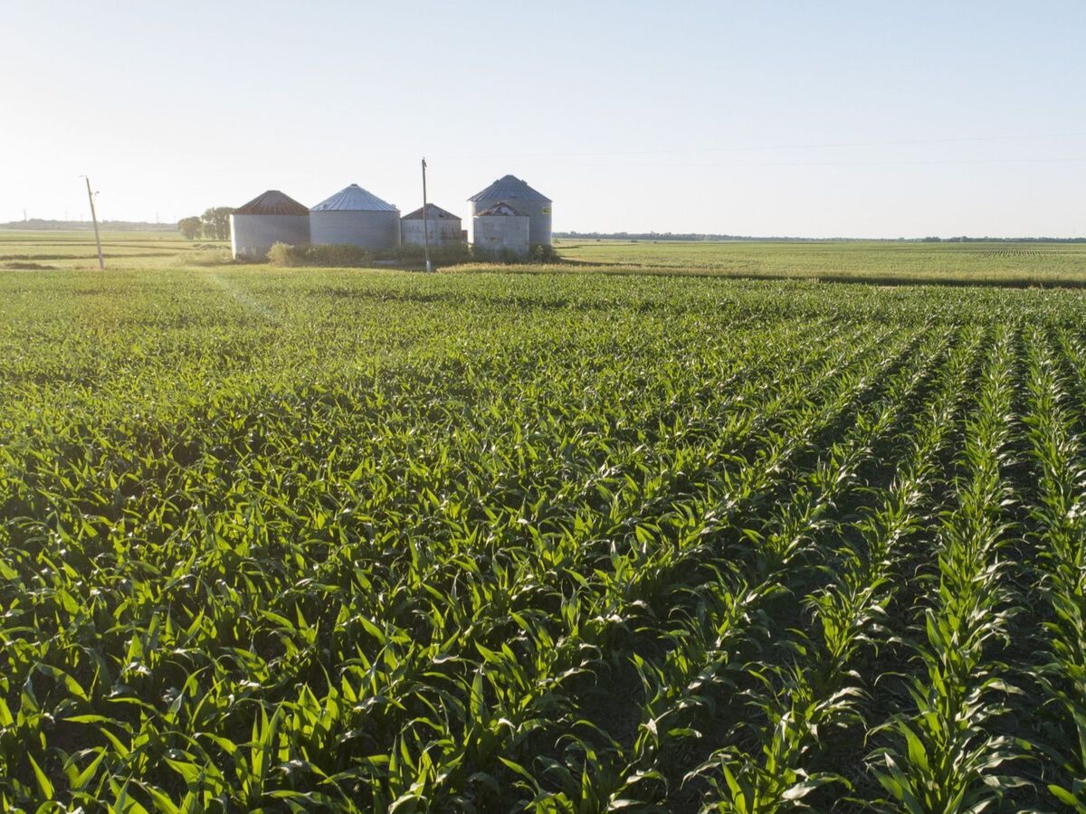 Millennial Farmers Can't Afford to Buy US Agricultural Land Bloomberg