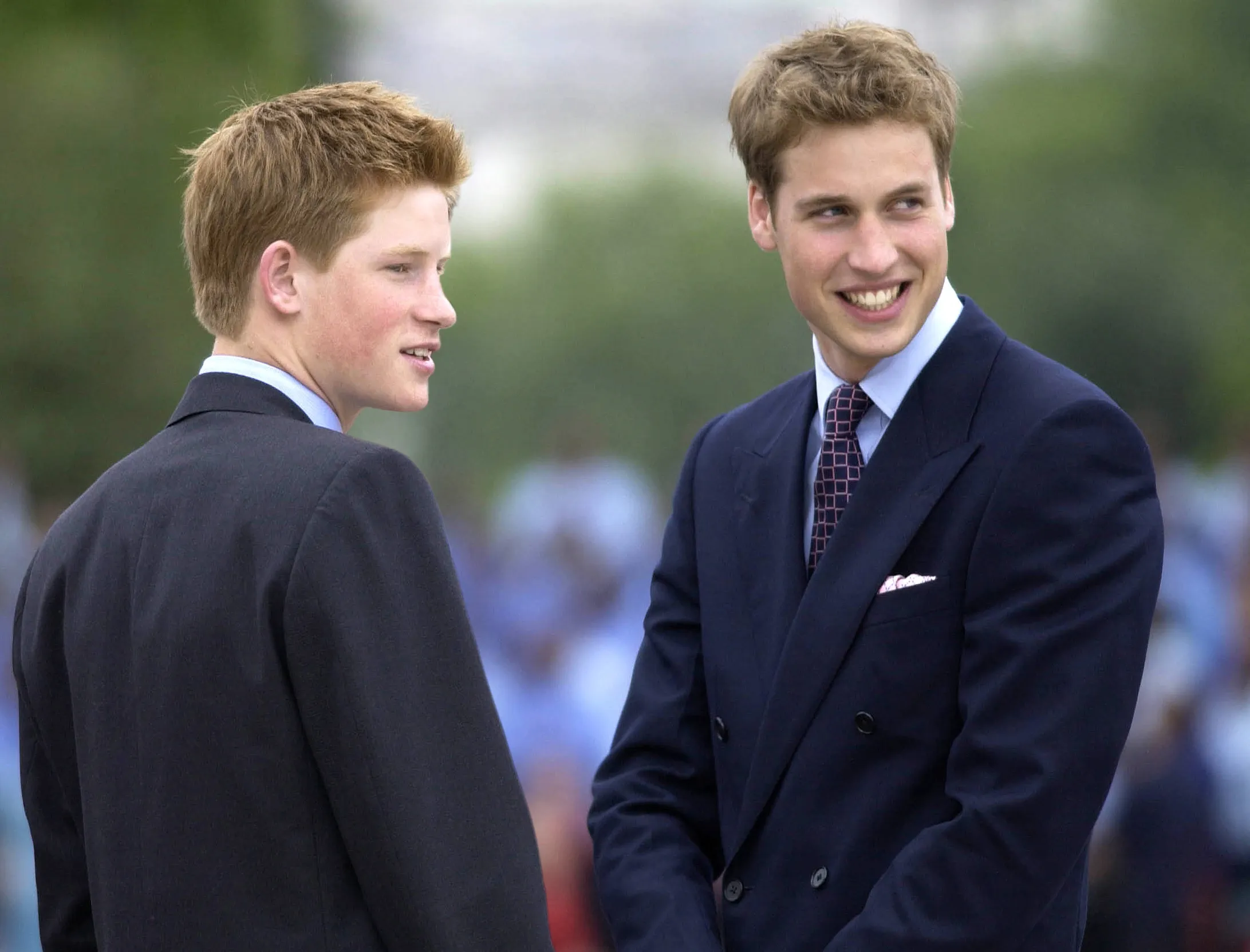 William and Harry in 2002.