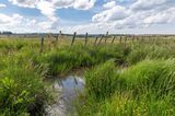 FRANCE-ENVIRONMENT-WETLANDS-MINERALS-INDUSTRY-PHARMACEUTICAL
