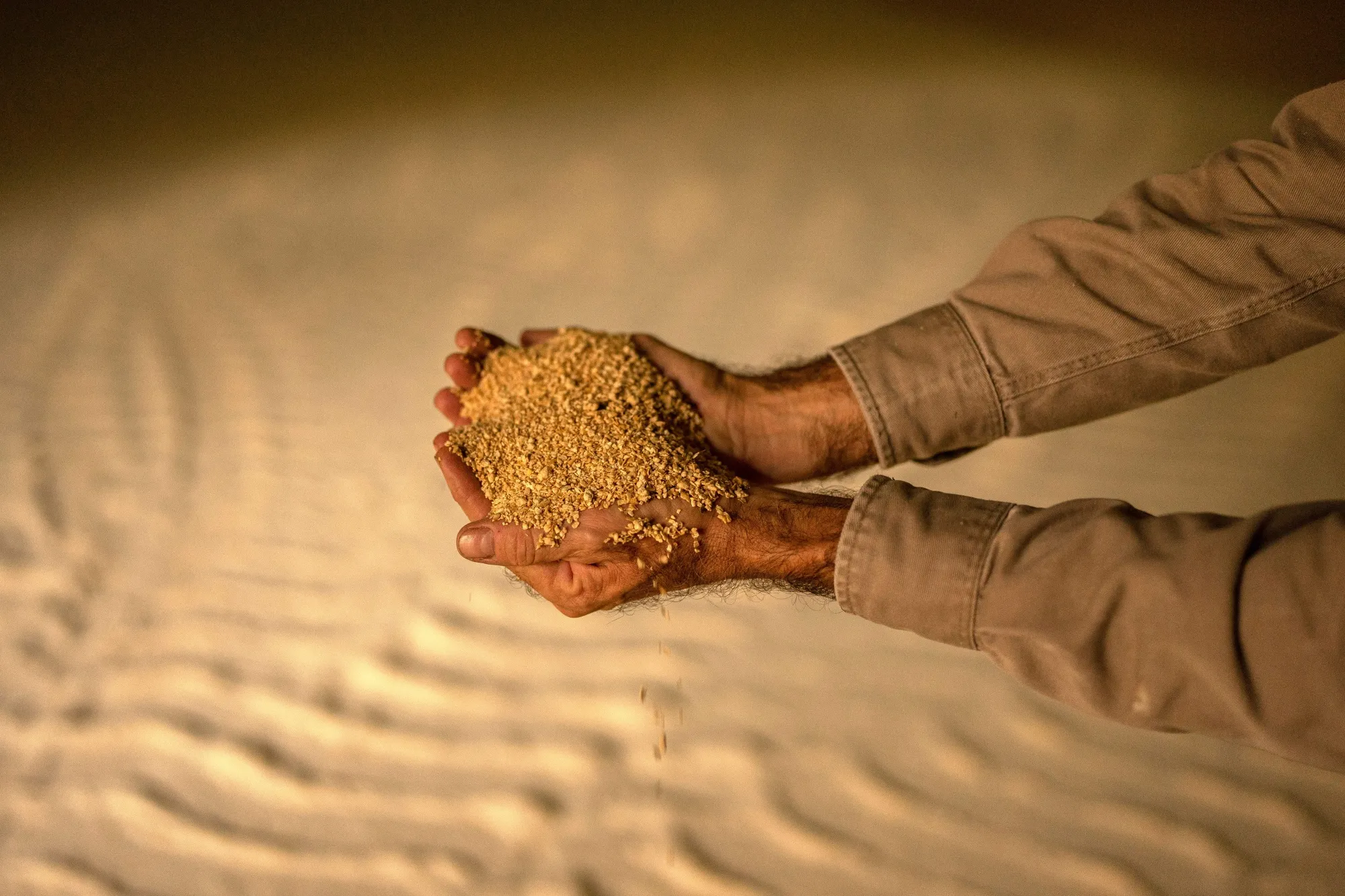 Soybean meal