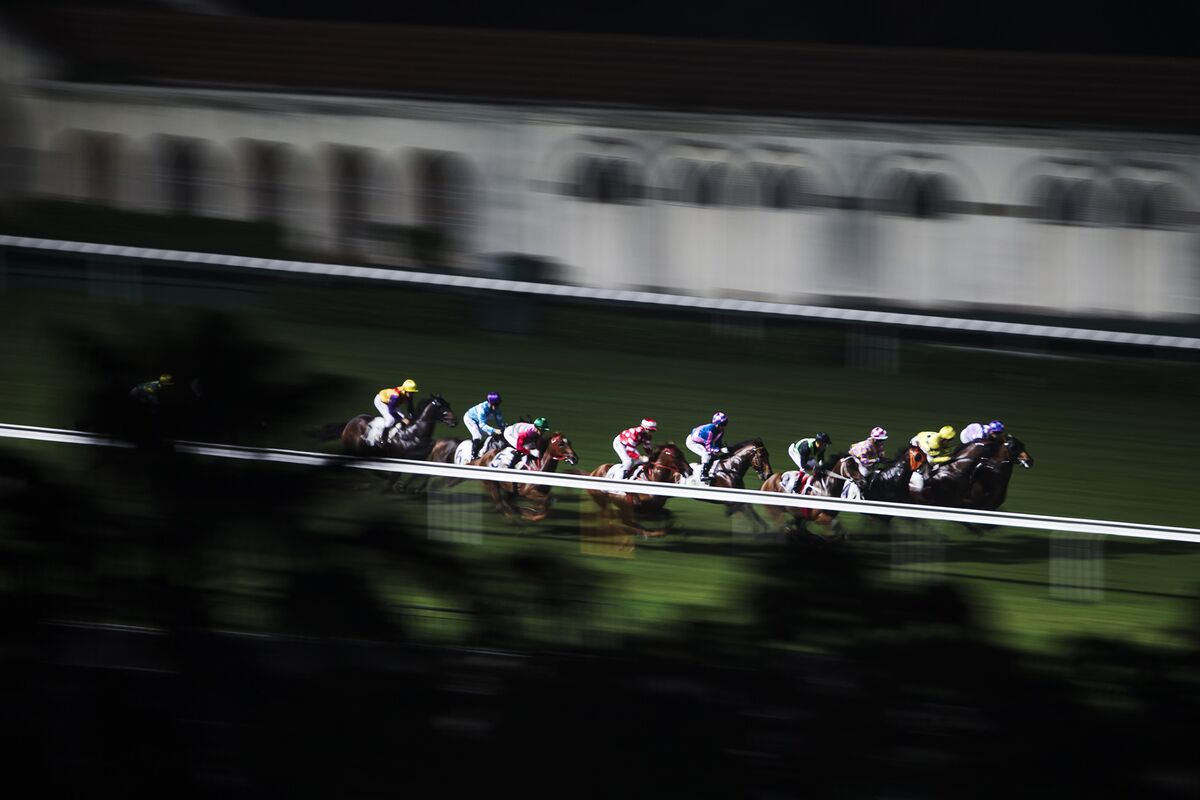 Hong Kong Horse Racing Is Serious Business Bloomberg
