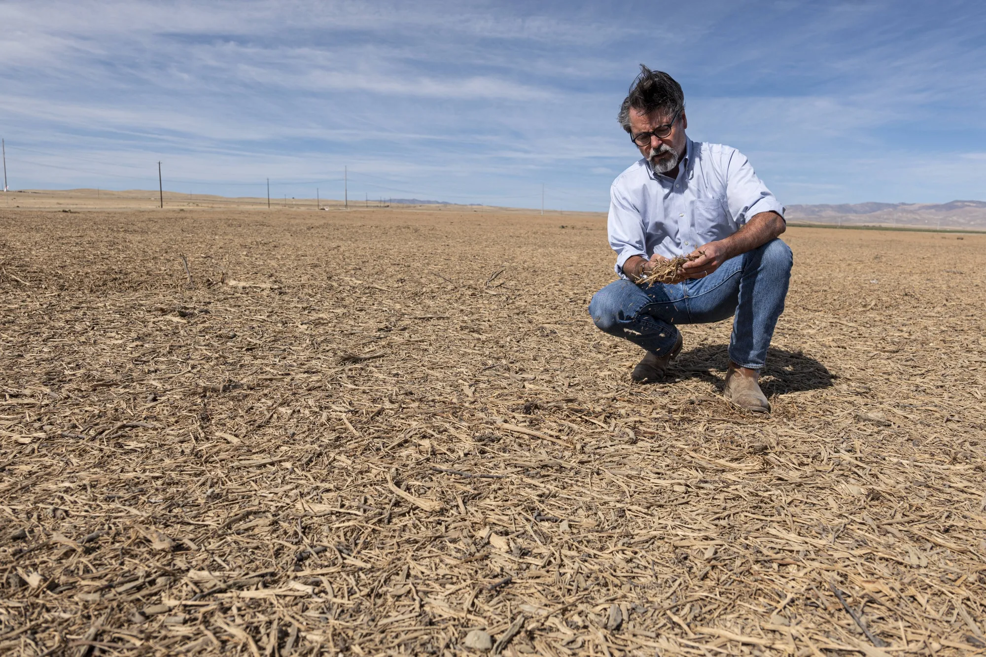 Stuart Woolf on his farm in Huron, Calif. New climate, new business plan.