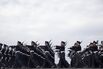 Japan Self Defense Forces