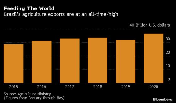 Beef Is Becoming a Luxury for Millions in Brazil