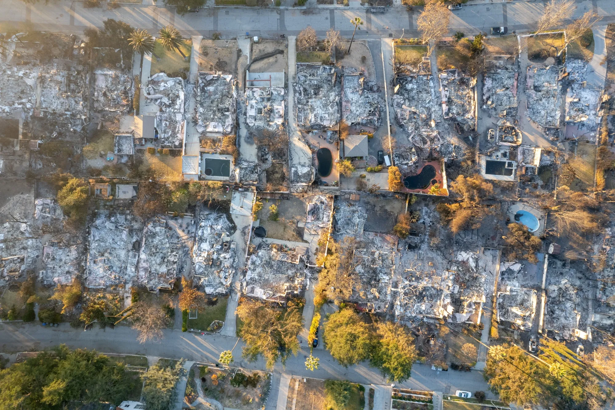 Homes destroyed by the Eaton Fire in Altadena, California, on Jan. 20, 2025.&nbsp;