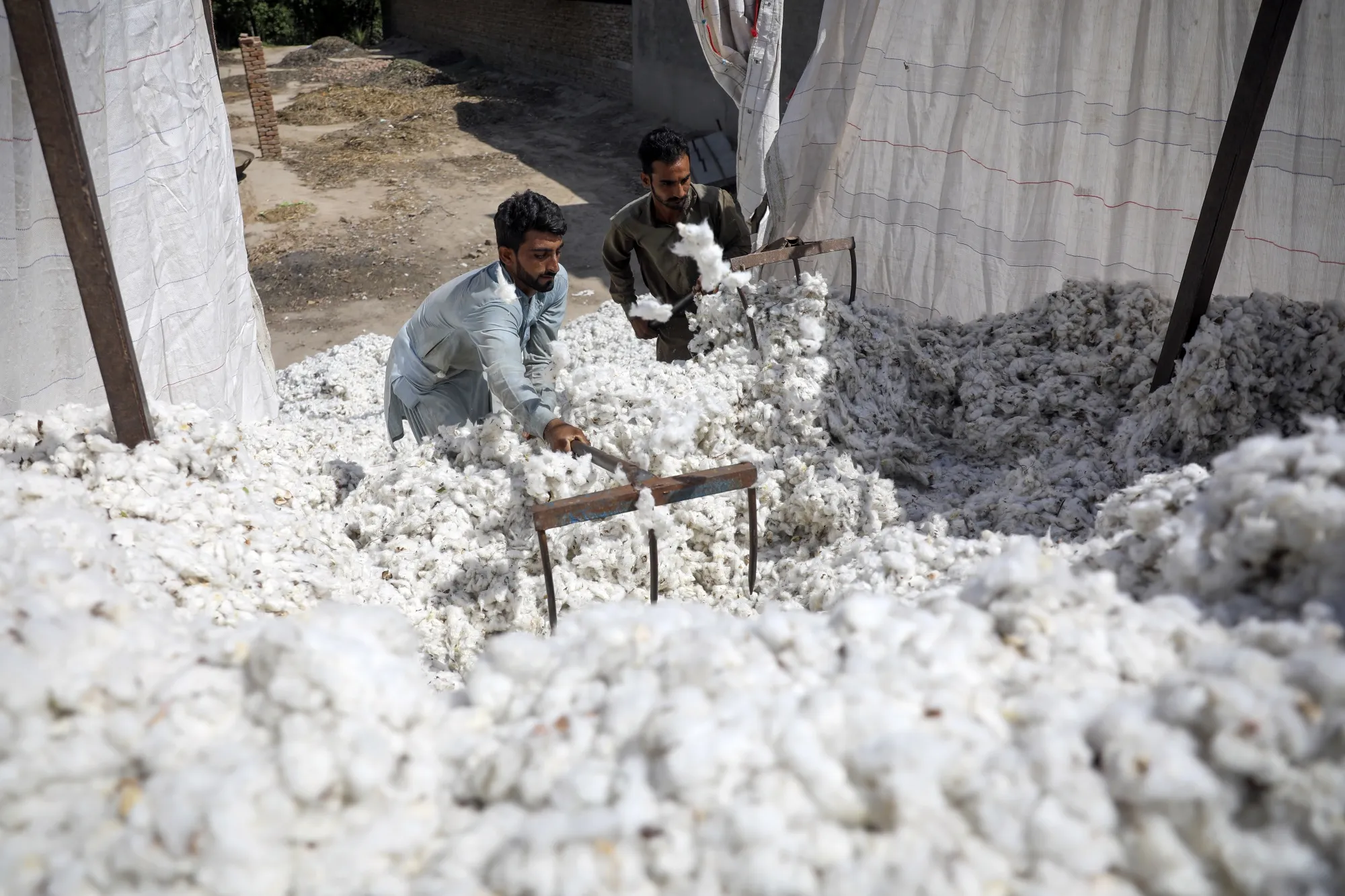 Workers unload cotton from a truck at a market in Rahim Yar Khan district, Pakistan.