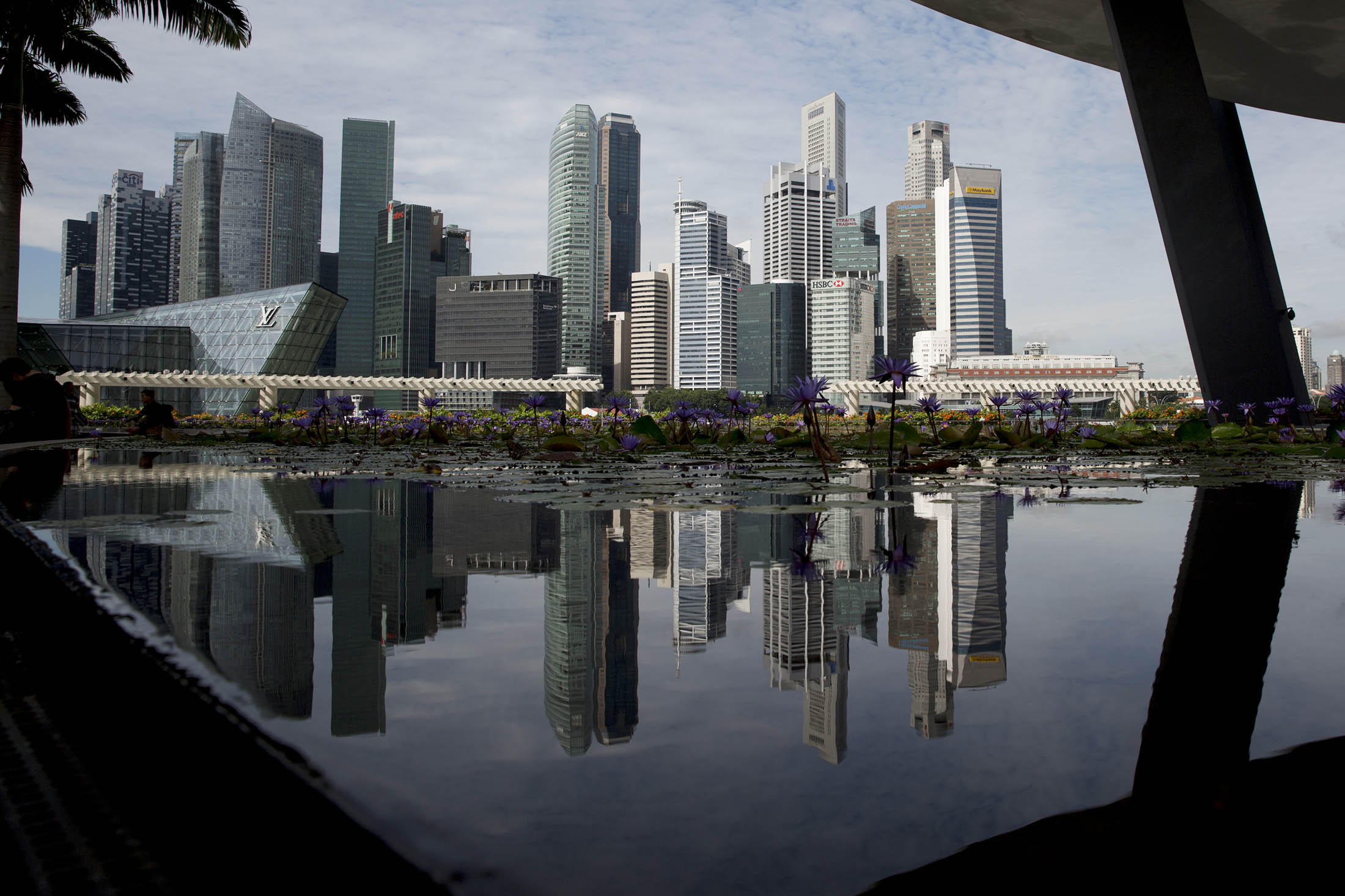 singapore-to-trump-hong-kong-in-millionaire-growth-bloomberg